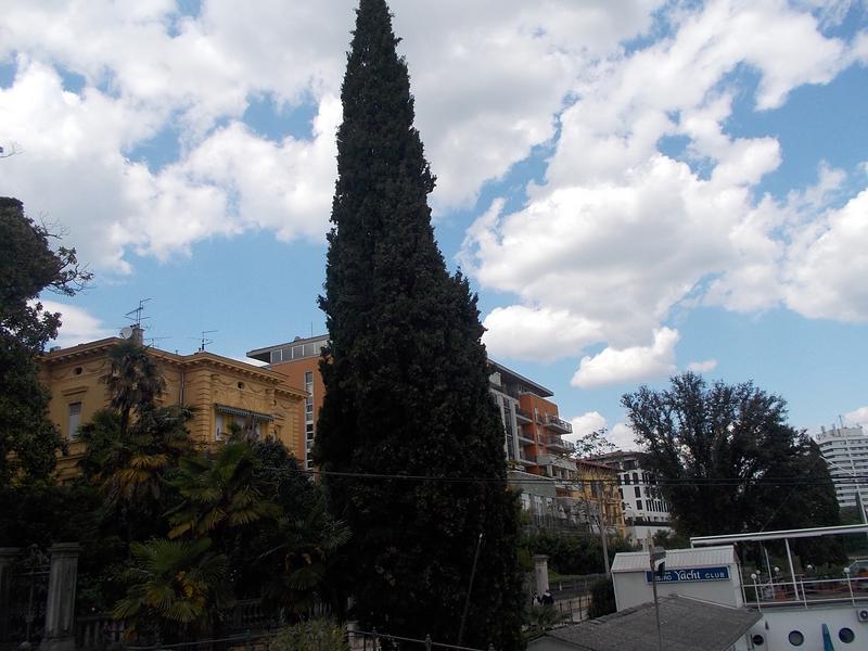 Slika
