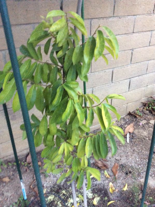 861B49AB-8E82-420D-B1B2-32230A8745C9