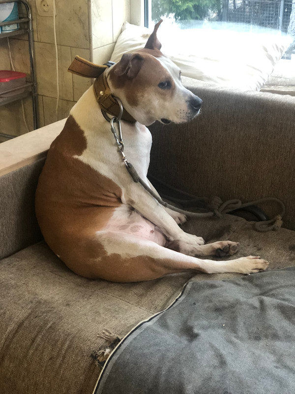 BD9C0617-AF65-482F-9B94-2C1934B20A57