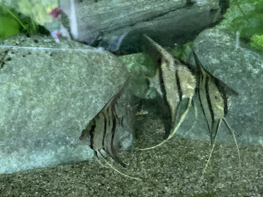 E4CC4DA2-6648-48A3-BB13-A67B860AE44E