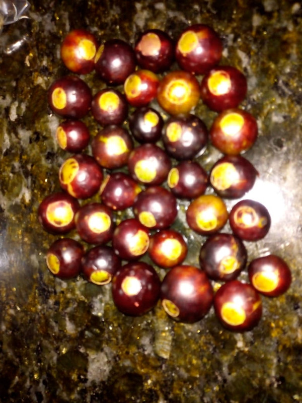 WhatsApp Image 2020-12-20 at 00.58.58 (39)