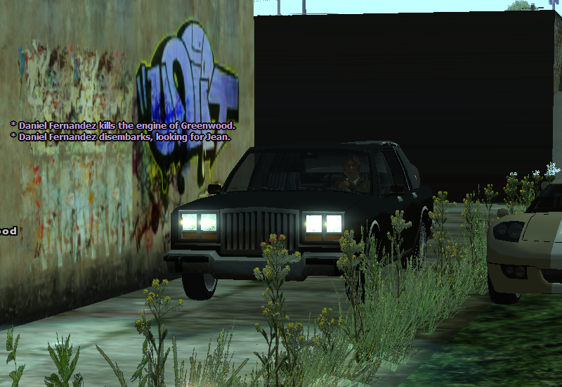 D-fern11423532463757.png