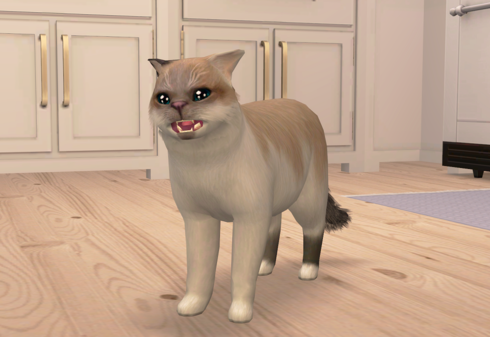 Sims2-EP9-RPC-2021-11-04-18-42-56-42