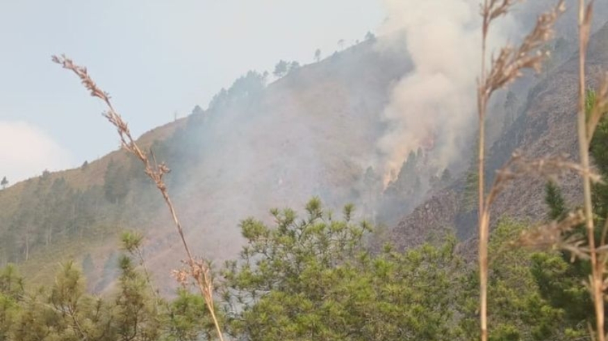 Tangkapan layar instagram BPBD Magelang yang memperlihatkan lereng gunung Andong terbakar, ada 11 titik api yang terpantau petugas.