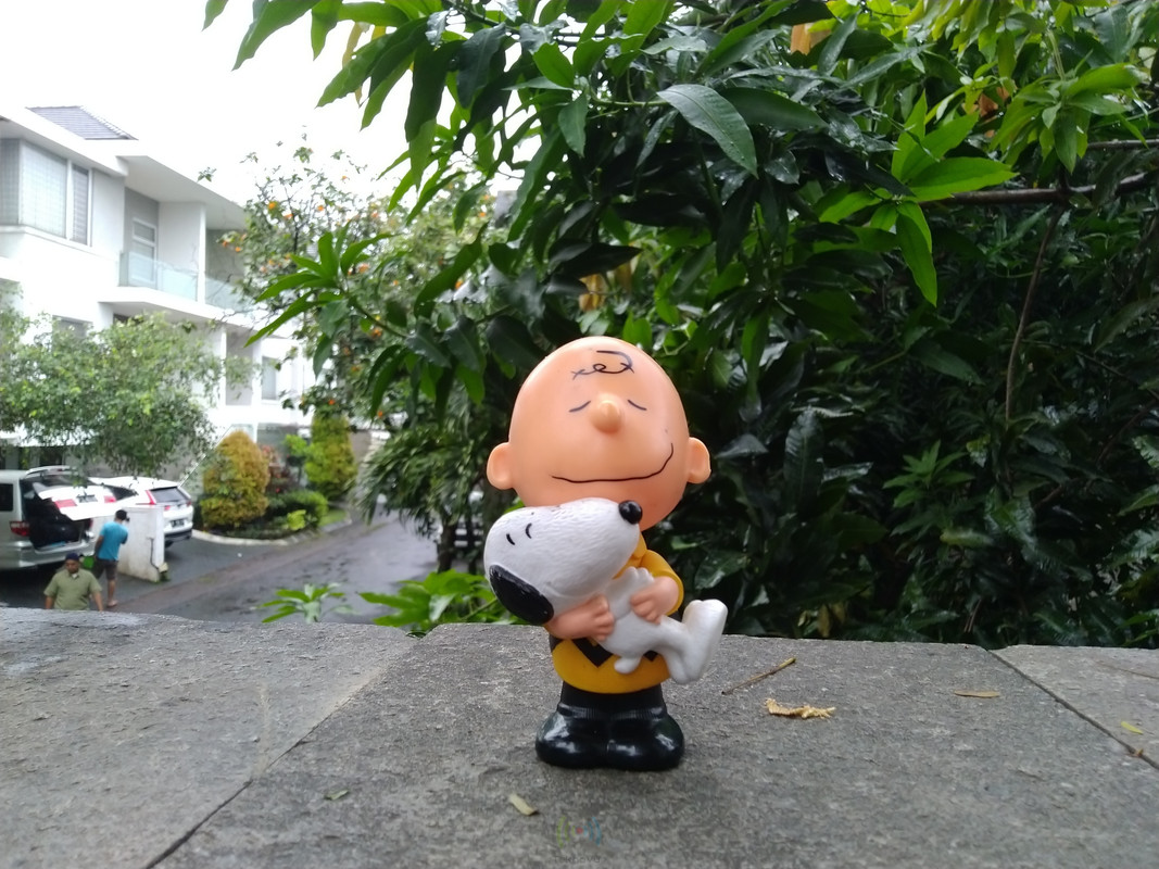 Asus Zenfone Max PRO M1 - Hasil Kamera Utama 1