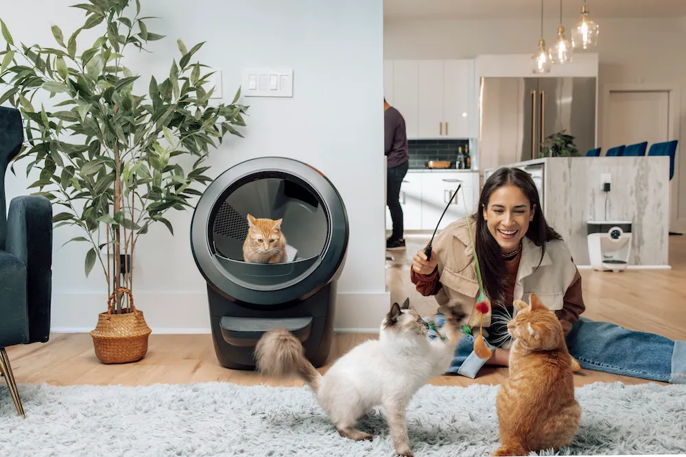 Multi Cat Living