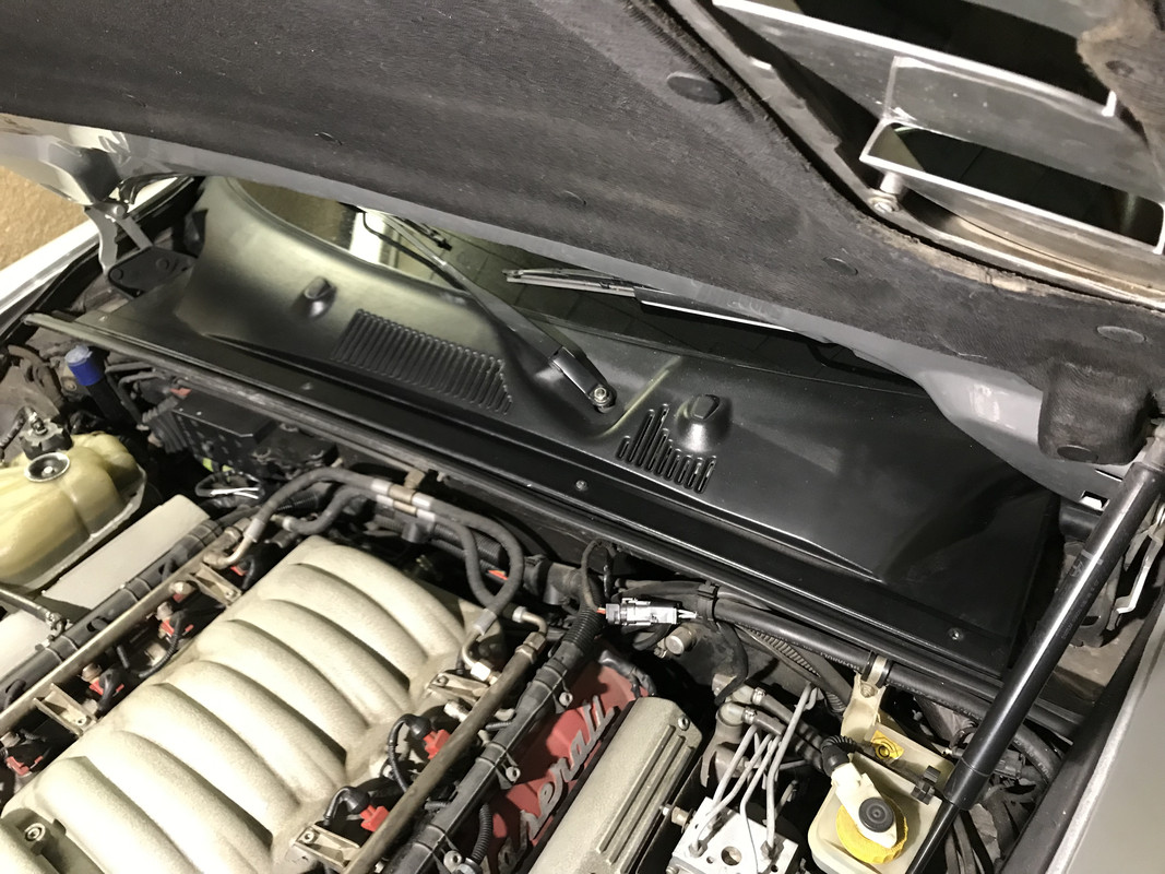 559F081A-3590-4463-AB45-34A5371193D5