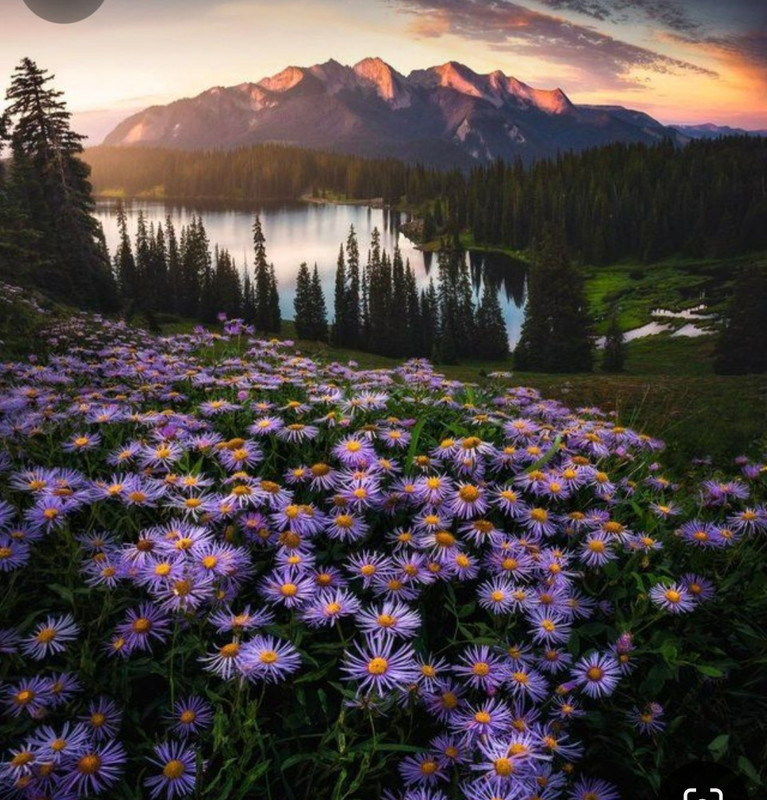 Screenshot_20240529_230016_Pinterest