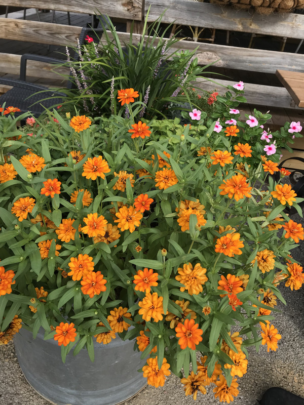 73008F1A-100E-495A-B9D3-8BFDC83F33F7