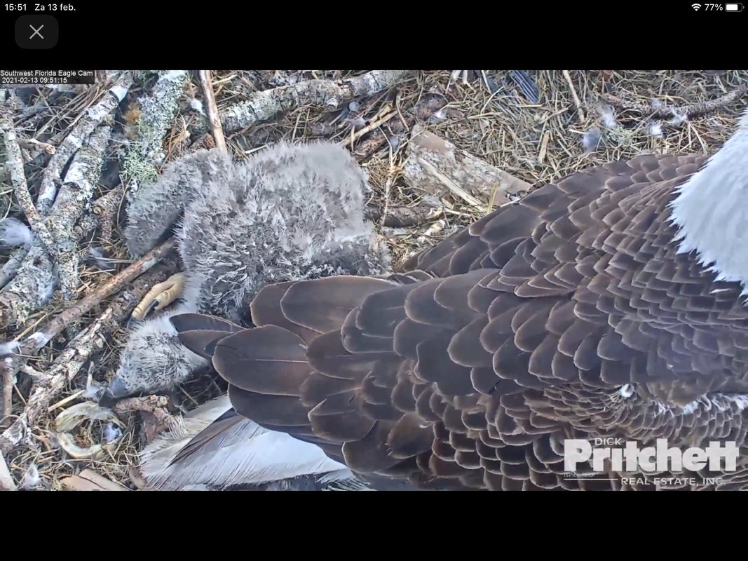 271C3A4C-A4DA-4B63-92D7-BC1C1FFE7B41