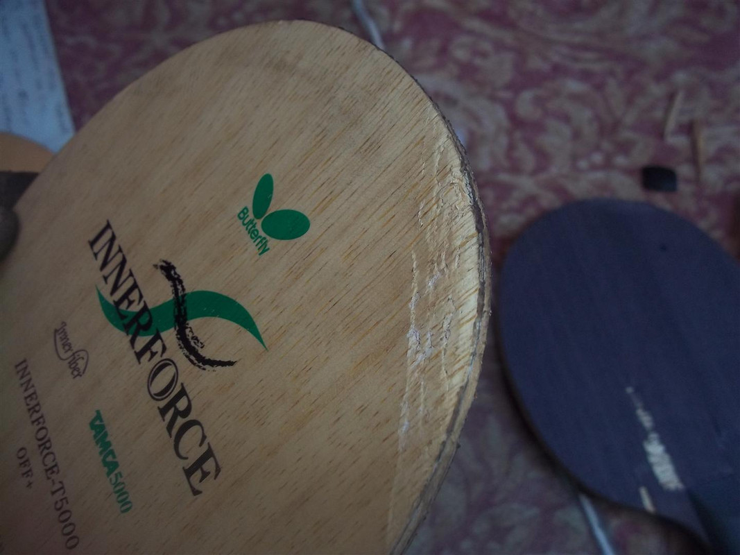 100_4685 (Large) - Copy