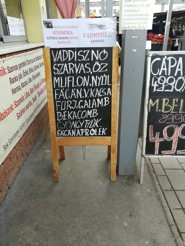 Kép