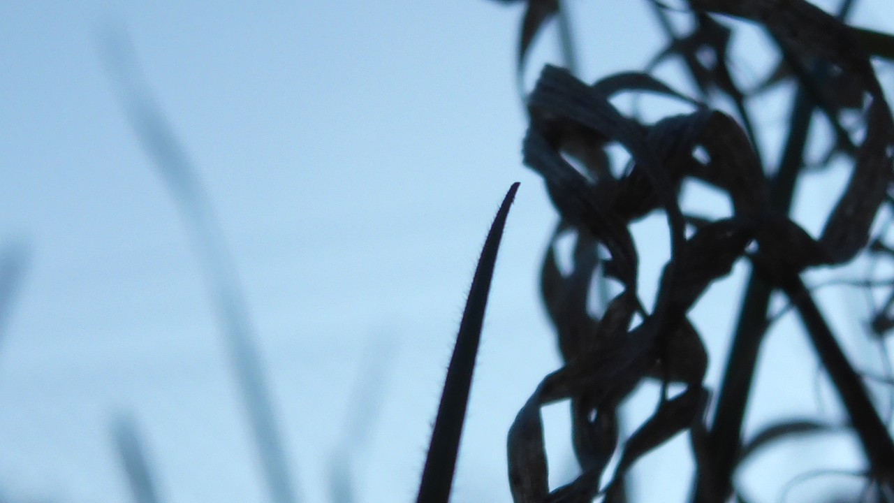 Abstract-A-Shapes-Assembled-Colorful-Art-Publicdomain (26)