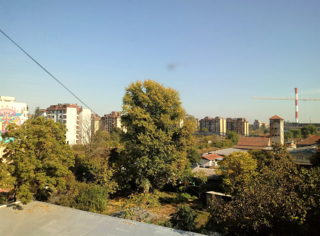 Slika