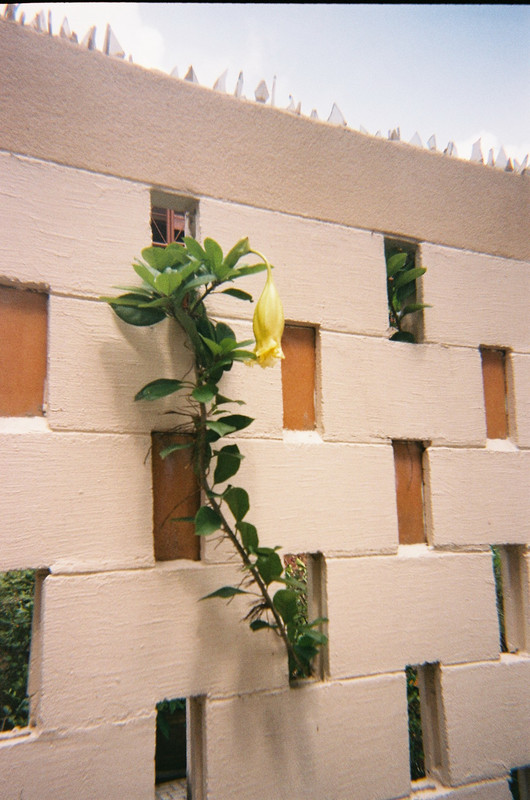 Fuji-49-resize
