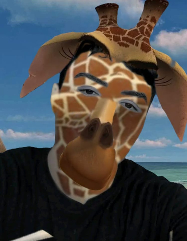 Descripción de la imagen