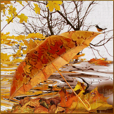 Fall-Rain