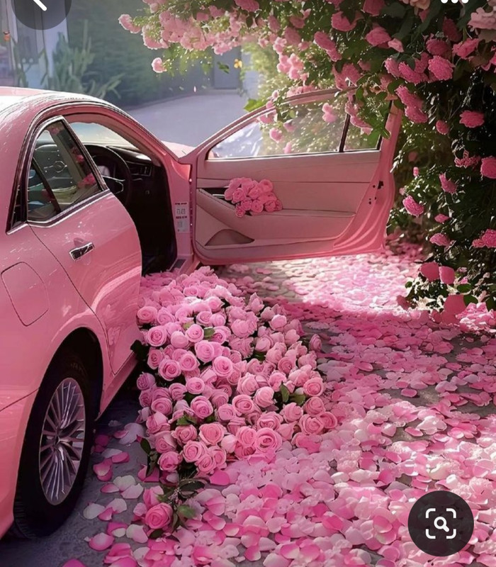 Screenshot_20240424_221305_Pinterest