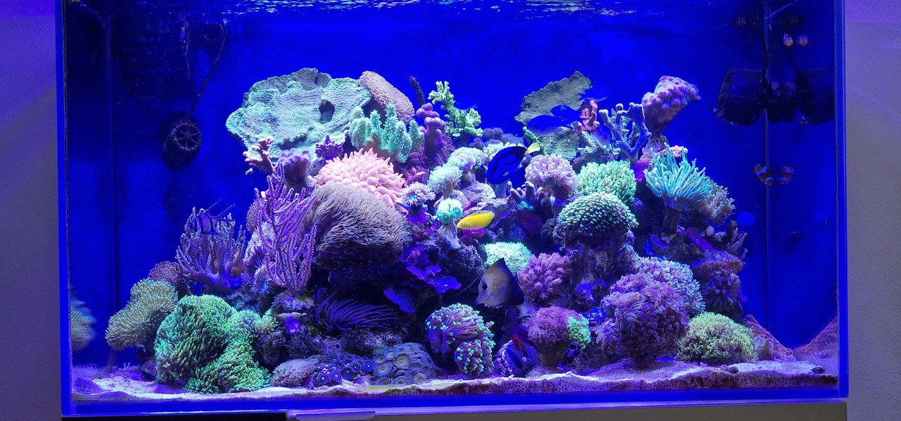 WhatsApp Image 2025-05-18 at 17.43.45 (2)