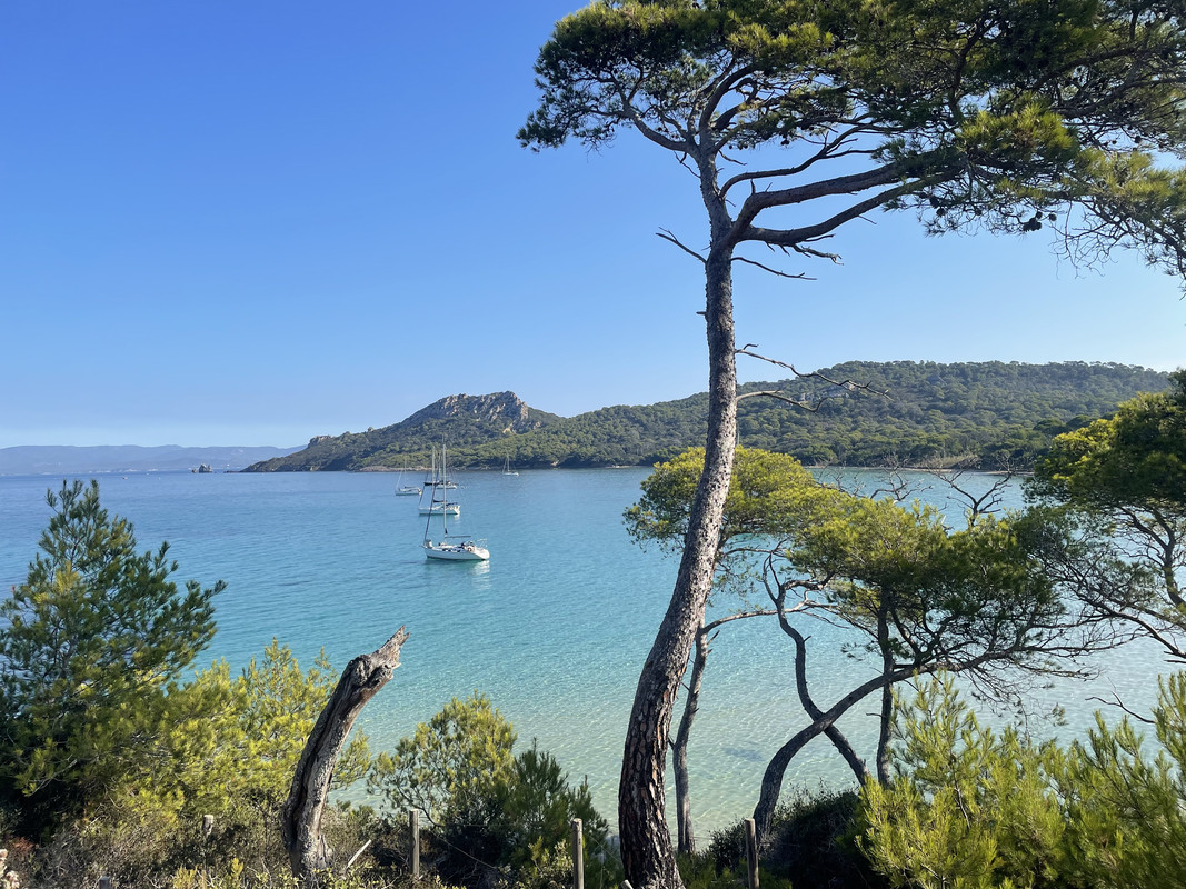 307599DC-EC8B-4903-85DC-1564C988F2DB