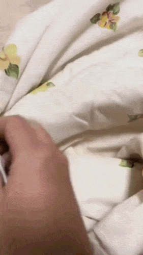 orangecatezgif-6438401fdd71bdab.gif