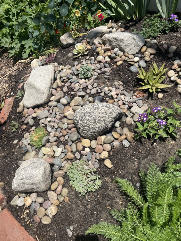 92D9A7EE-F0B0-408C-994E-FEB997F86D12_1_105_c