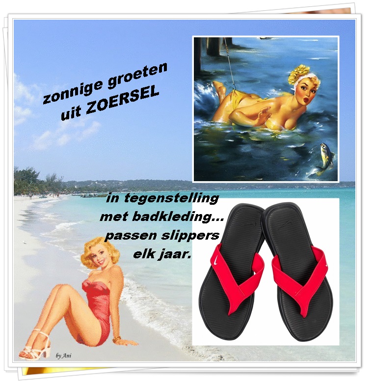 Klik op de afbeelding om de link te volgen