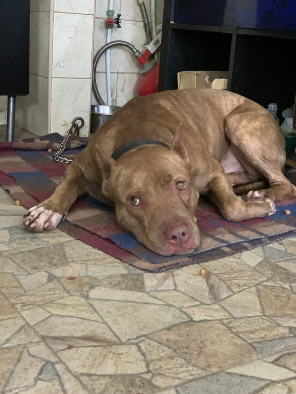 03D0E005-925A-4E21-9CC6-CA845CF2B77B