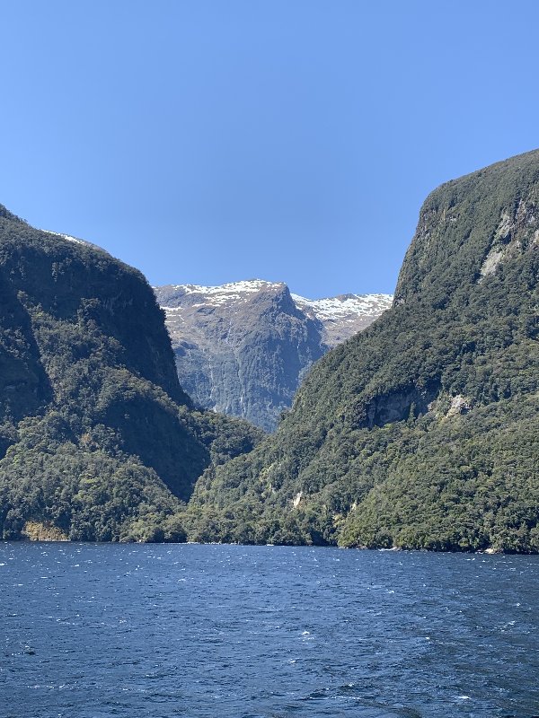 Nueva Zelanda: La primavera Kiwi nos fue marcando la ruta - Blogs de Nueva Zelanda - Queenstown-Manapouri (Doubtful Sound)-TeAnau (5)