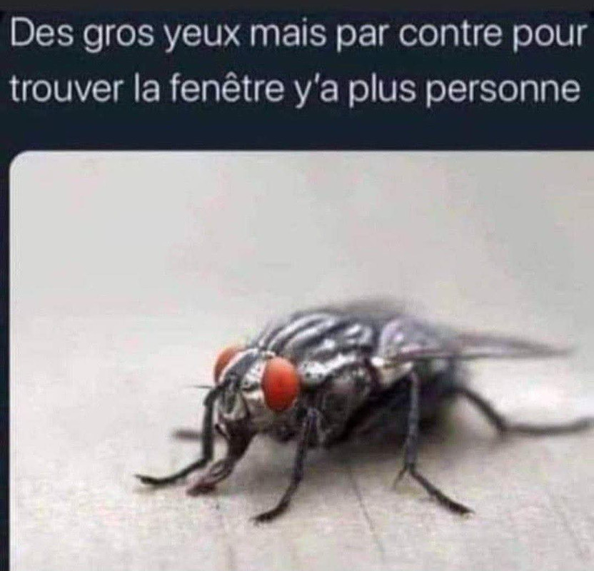 WhatsApp Image 2025-04-23 at 15.37.44 (4)