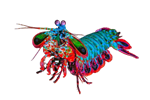 tumblr-0ee48fc5089397878ddb08b6a0047ce1-95c90b78-1280.png