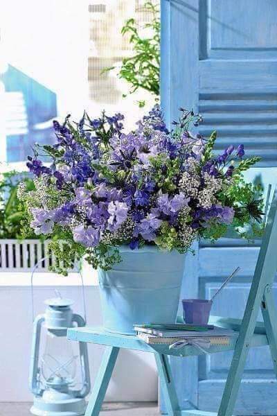 FB_IMG_1688100065161