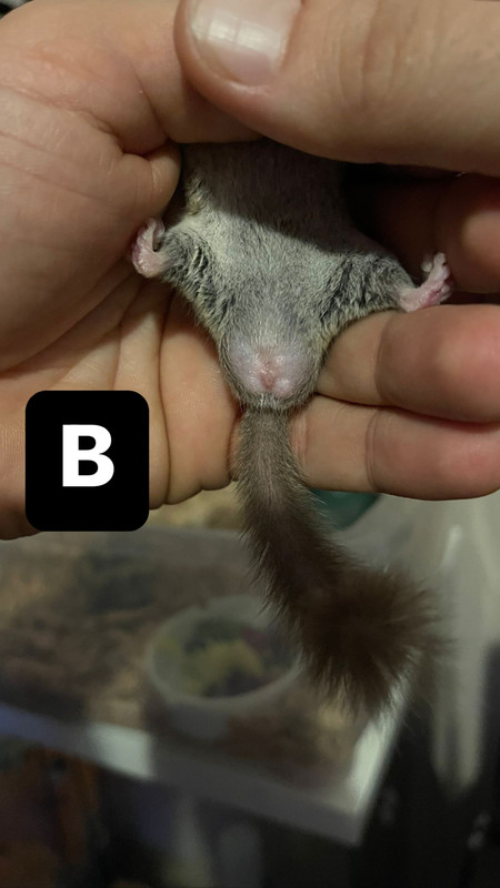 BD7D0614-68E4-4C3B-A4A2-B0A576F57707