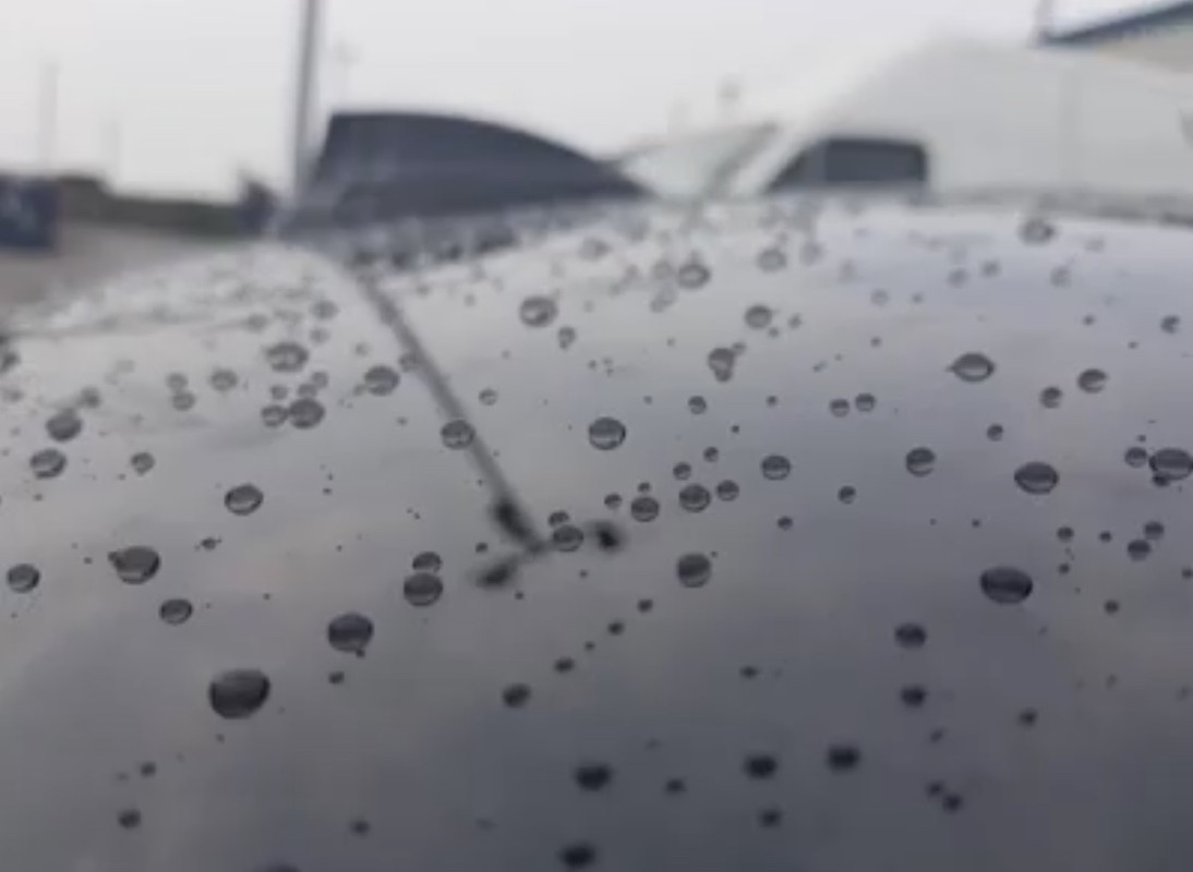 9C13338E-30A9-47BD-8288-05EAF54ED0CF