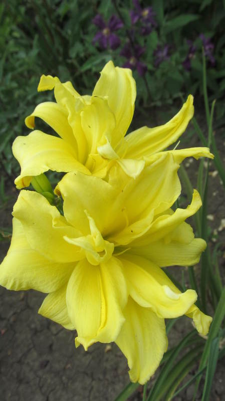 019