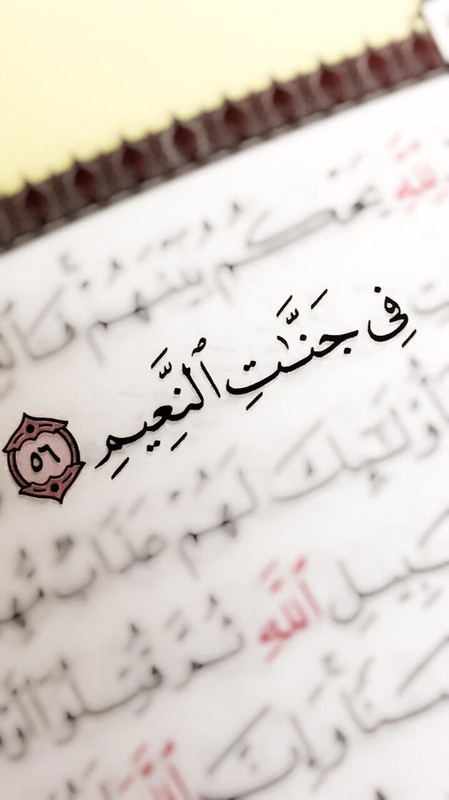 3D79F40E-BC27-425F-B25E-763FBB970E0C