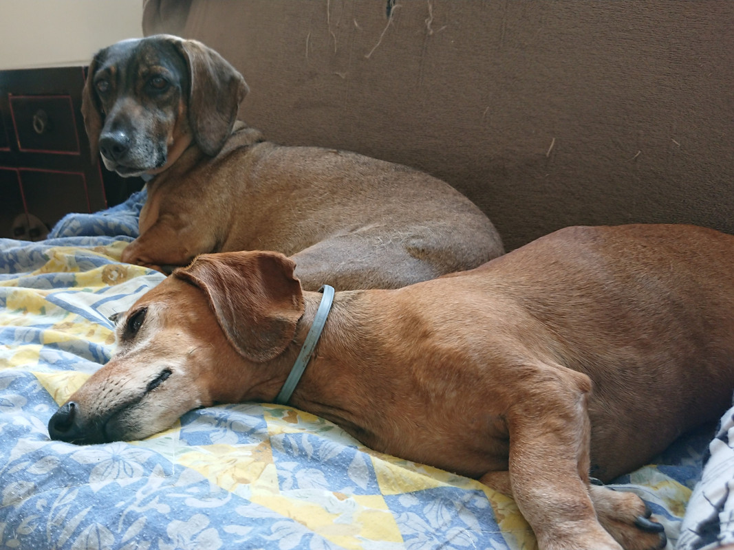 [Image: DSC-0750.jpg]