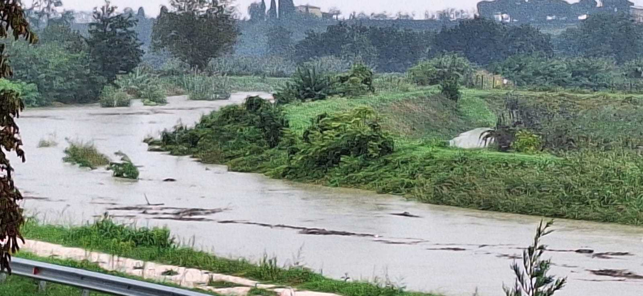 Fiume Senio (archivio)