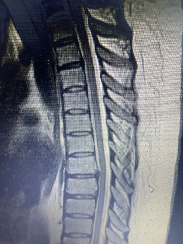 05184C12-59C7-4A38-B0FE-4345685FBADD