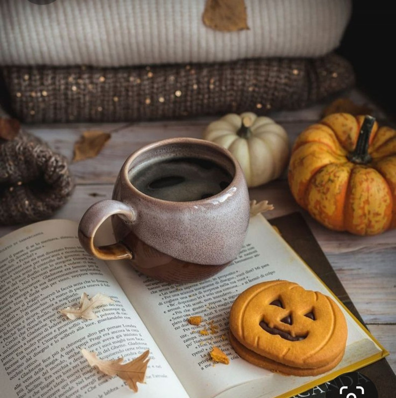 Screenshot_20231031_172648_Pinterest