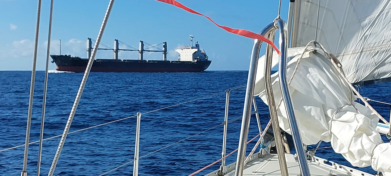 [Imagen: 20251104-143138.jpg]