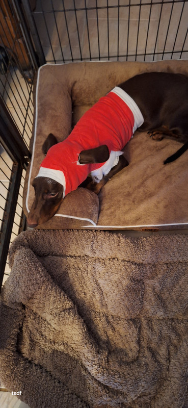 [Image: 20250827-201926.jpg]