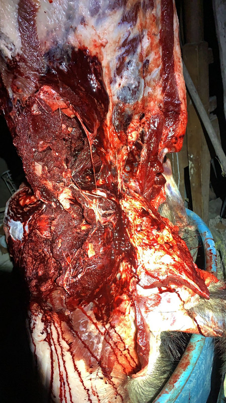 BF7DED94-07BD-4CDC-982A-BF78C75C0100