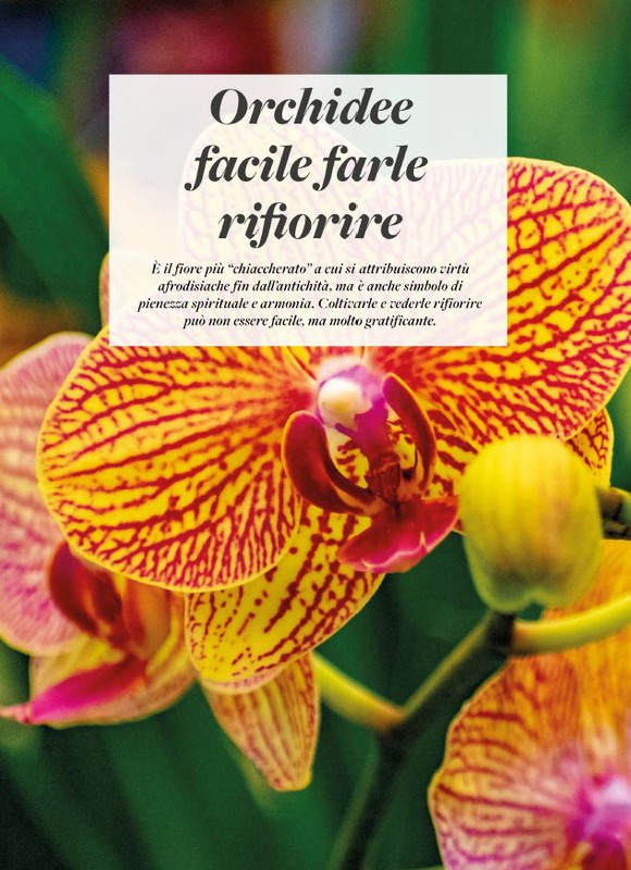 Pass Giar e orto Dic 2025 (11)