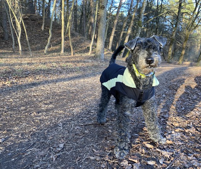 A5-D3633-A-FBEE-4-D20-9-D60-561-C2-C196-