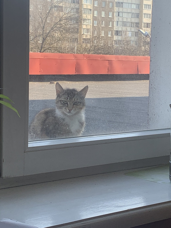 8B0C24A3-AC10-4649-B570-A1D4864EE152