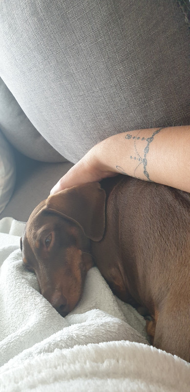 [Image: 20200906-181853.jpg]