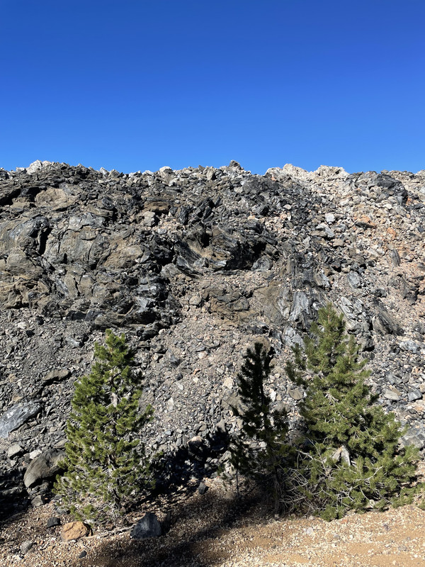 D6A218A5-C2D2-48E4-8379-52D3C3C051B8