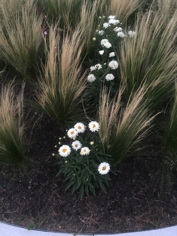 52EF37F3-3292-49FA-B62B-74AD0CD31CAD