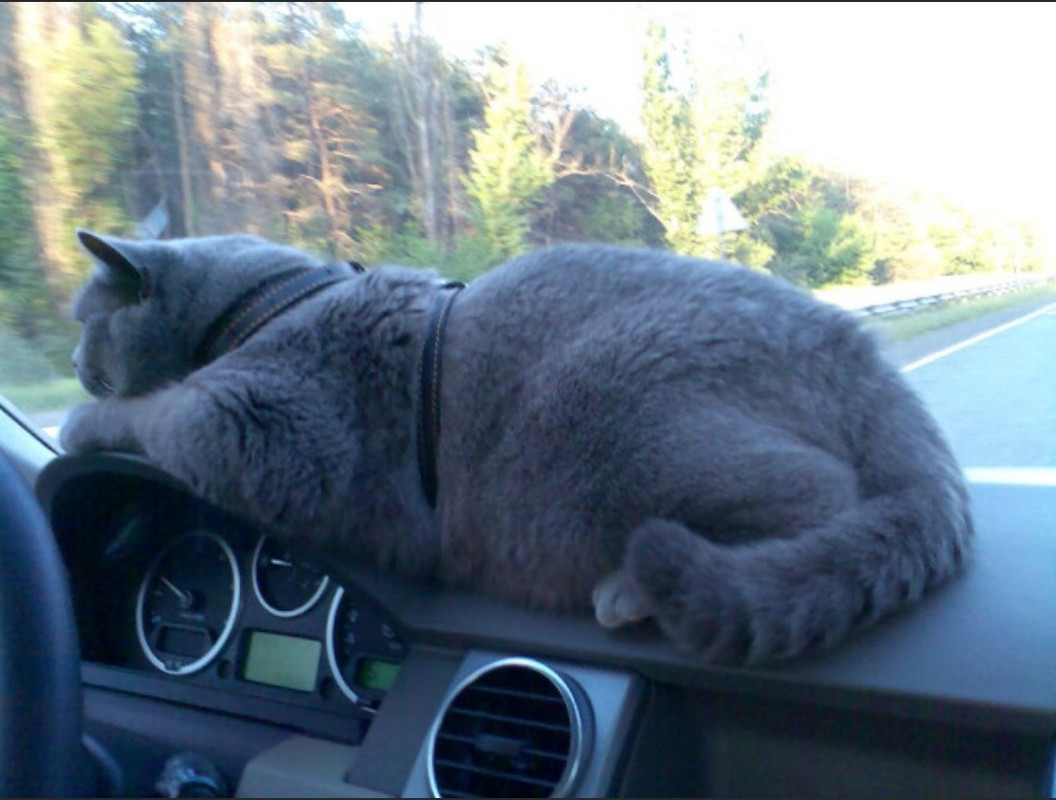 Screenshot_20231026_213018_com.livejournal.android_edit_1109893876568137